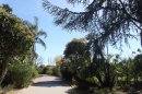 Hyères, jardin Riquier